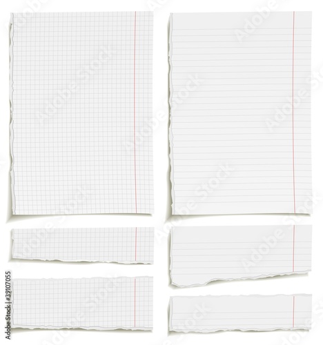 Set of blank squared and lined paper sheets or notepad pages