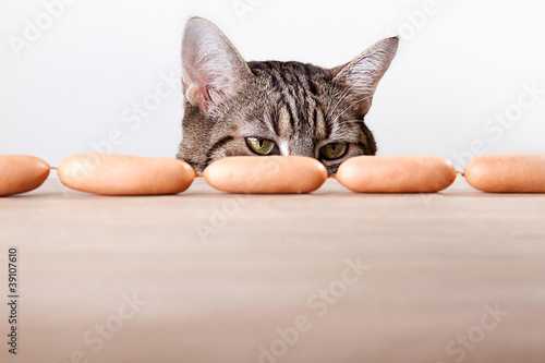 Fototapeta Naklejka Na Ścianę i Meble -  Katze und Würstchen