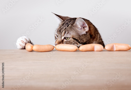 Fototapeta Naklejka Na Ścianę i Meble -  Katze und Würstchen