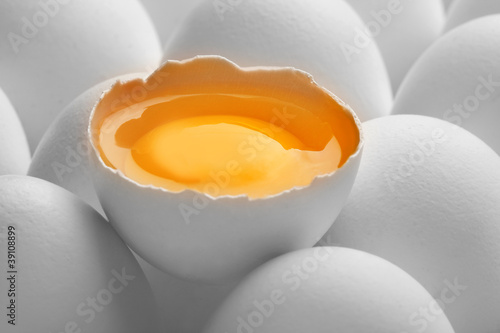 Close up photo of white eggs in a raw