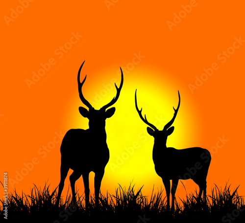 silhouette of deer