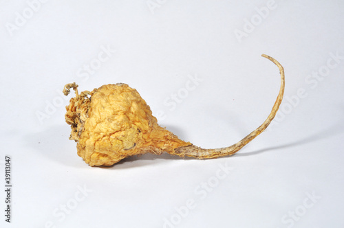 Maca Lepidium meyenii photo