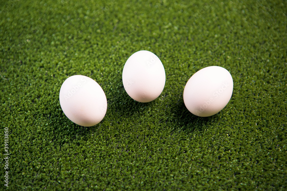 group of eggs on the green lawn group of eggs on the green lawn