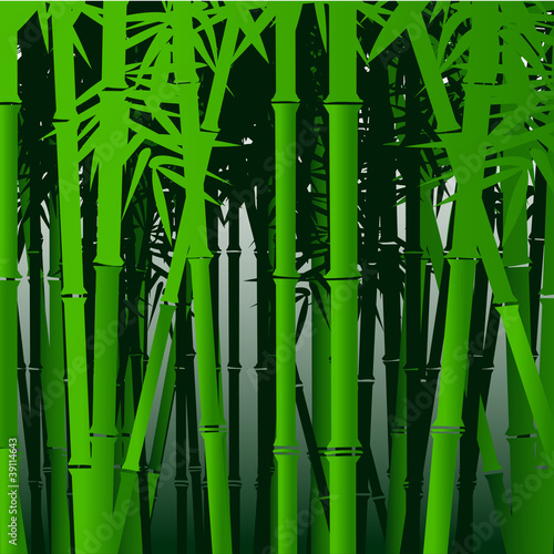 Decorative bamboo