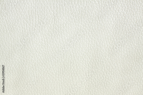 White Leather Texture