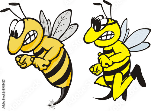 angry wasp