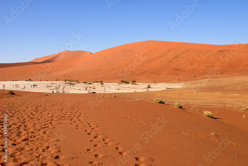 désert de Namibie15