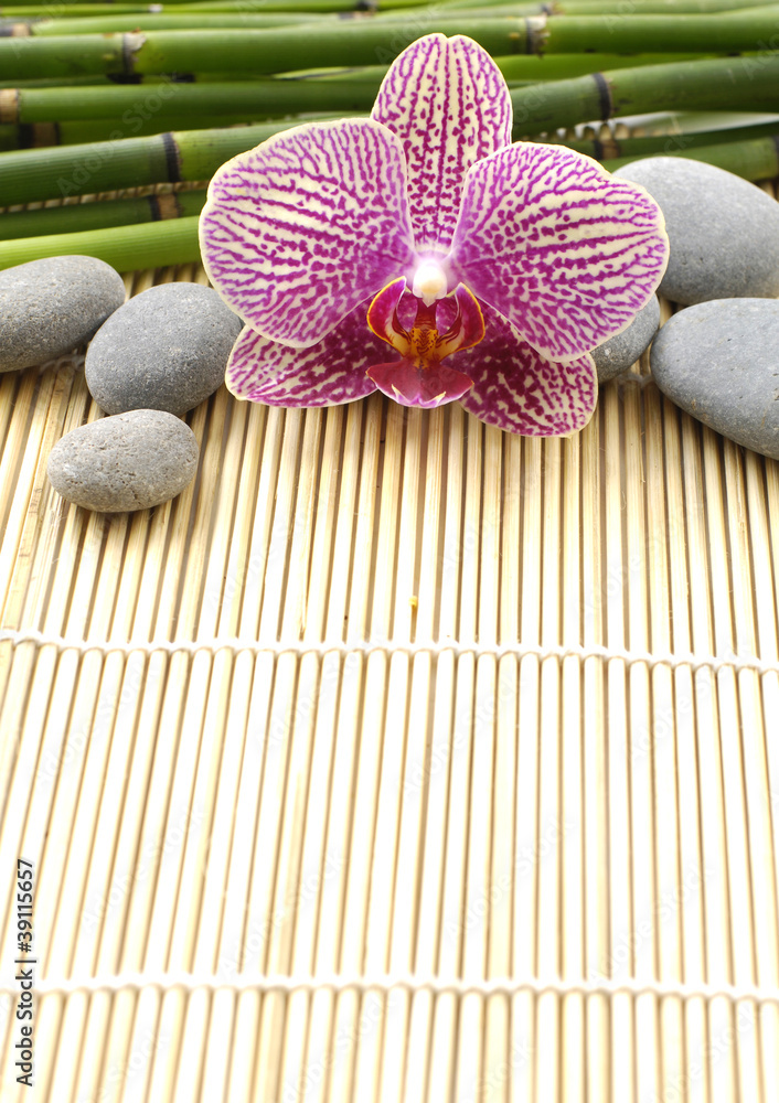 Macro of orchid and stones with bamboo grove on mat Macro of orchid and stones with bamboo grove on mat