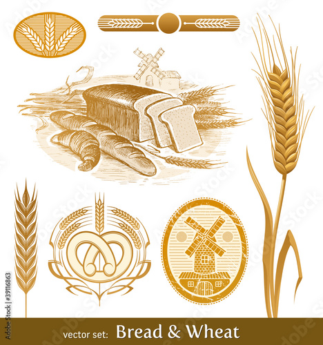 Vector set - bread and wheat