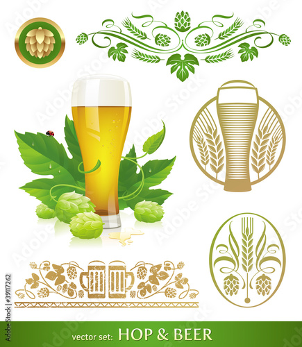 Vector set - beer, hop and brewing