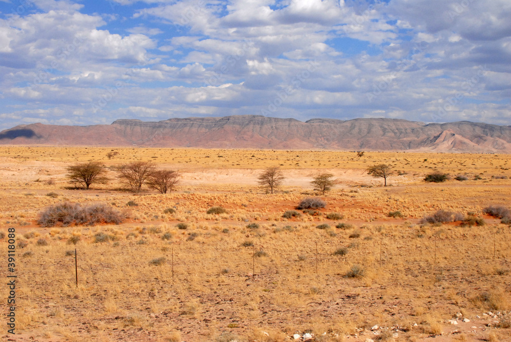 désert de Namibie29