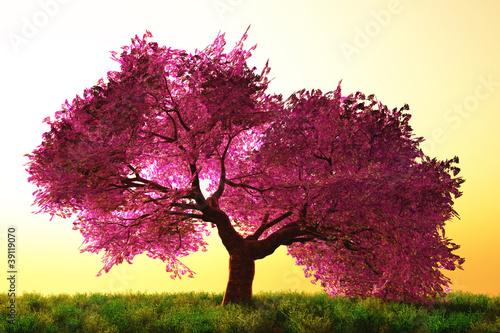 Plakat drzewa kwiat łąka natura