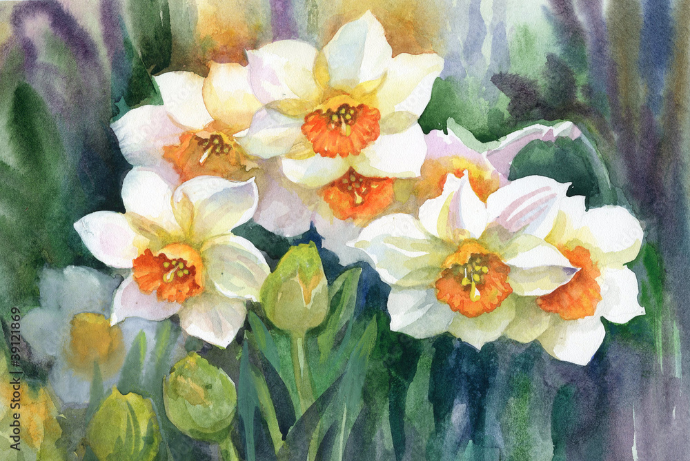 Obraz premium Narcissus