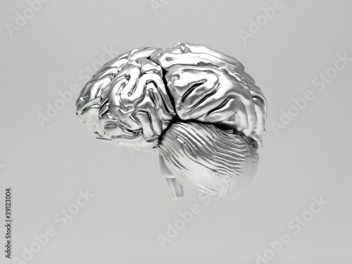 cervello 3d argento metallo photo