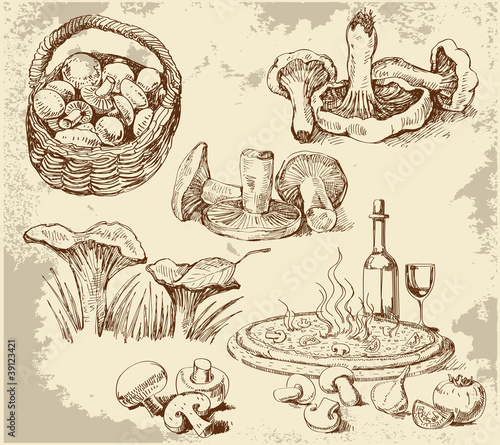mushrooms set