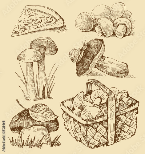 mushrooms set