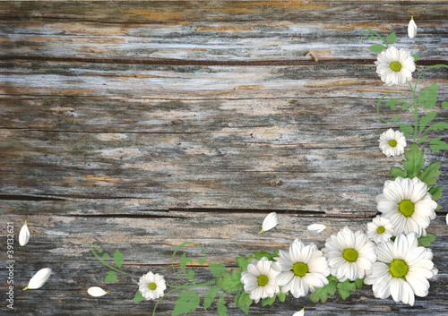 Wood background with chamomile © belinka