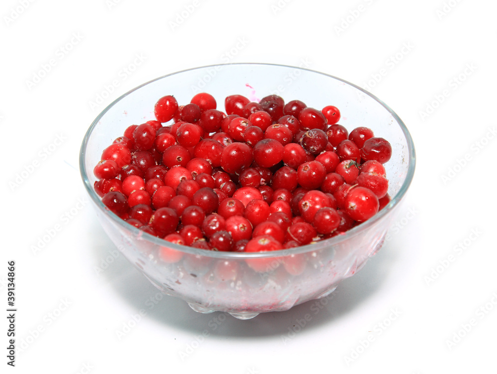 cranberry in plate on white background cranberry in plate on white background