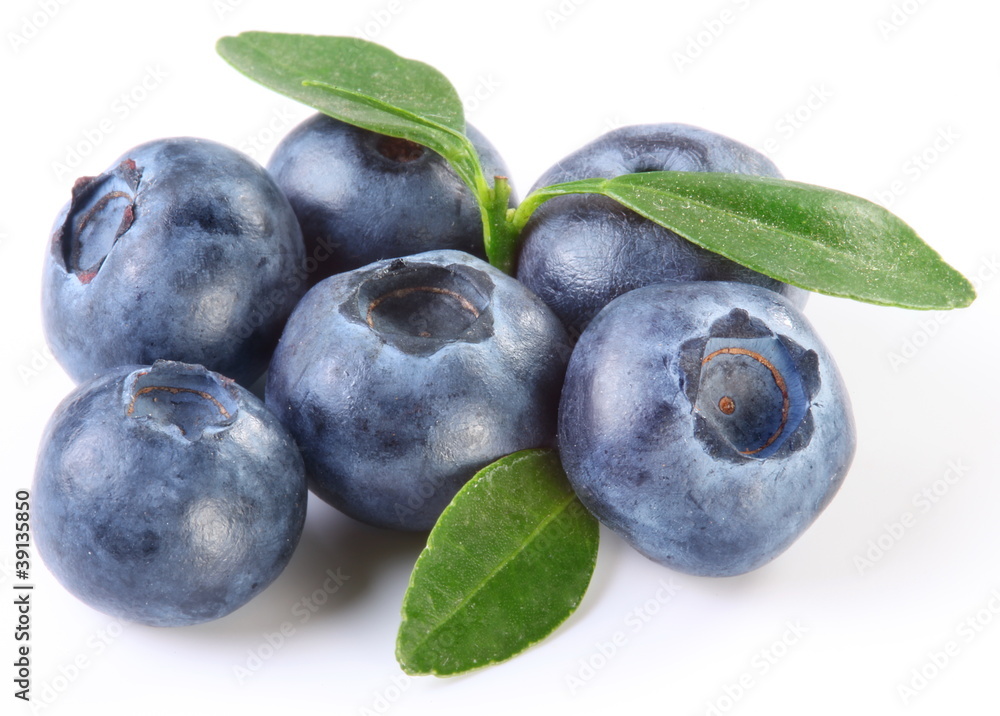 Blueberries with leaves Blueberries with leaves