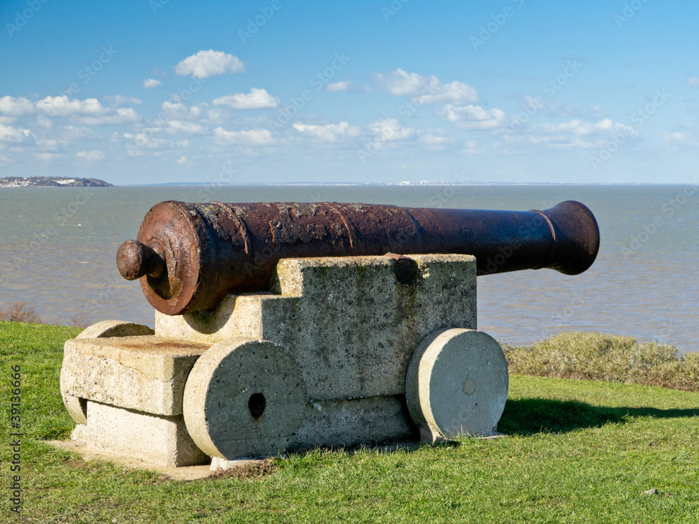 Cannon