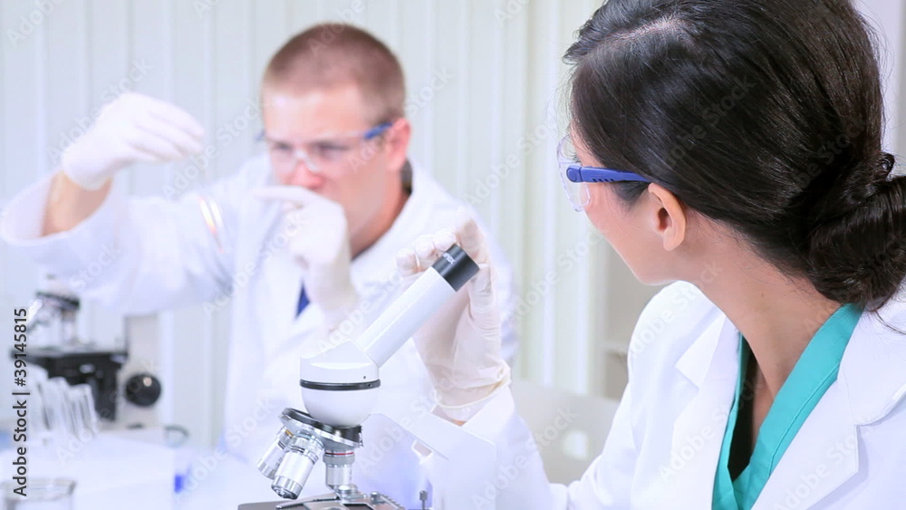Medical Technicians Studying Research Data Medical Technicians Studying Research Data