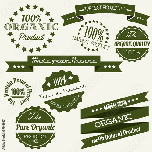 Vector Old retro vintage elements for organic natural items