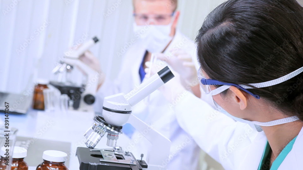Research Assistants Working in Medical Laboratory Research Assistants Working in Medical Laboratory