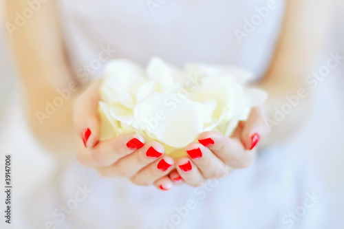 rose petals in hands