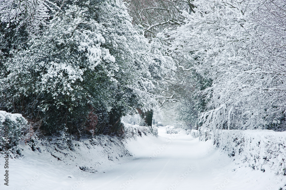 Path through English rurual countryside in Winter with snow Path through English rurual countryside in Winter with snow