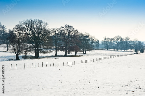 Winter rural countryside la...