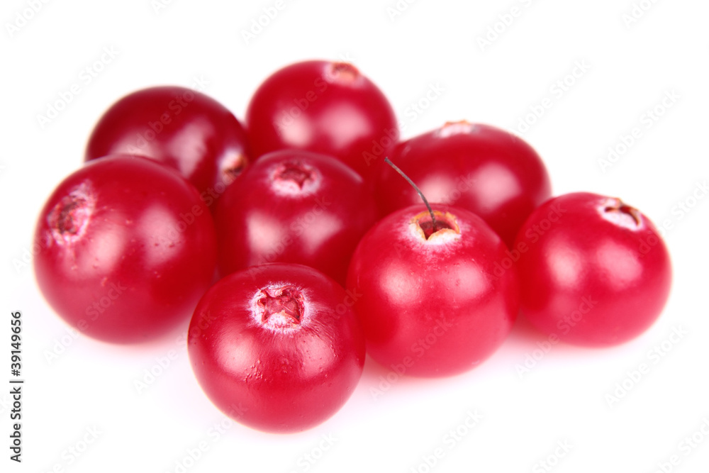 Fresh cranberry Fresh cranberry