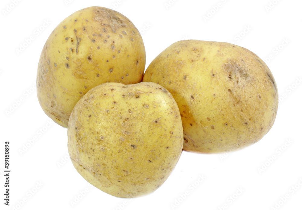 Potato. Isolated on white background. Potato. Isolated on white background.