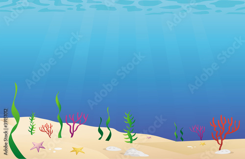 sea bed