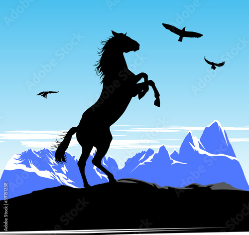 Horse stand on its hind legs