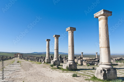 Decumanus Maximus street at Volubilis, Morocoo