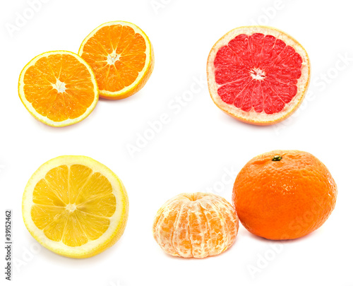 Collection of citrus fruit orange tangerine lemon grapefruit