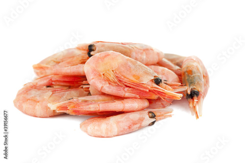 shrimp isolated © ksena32