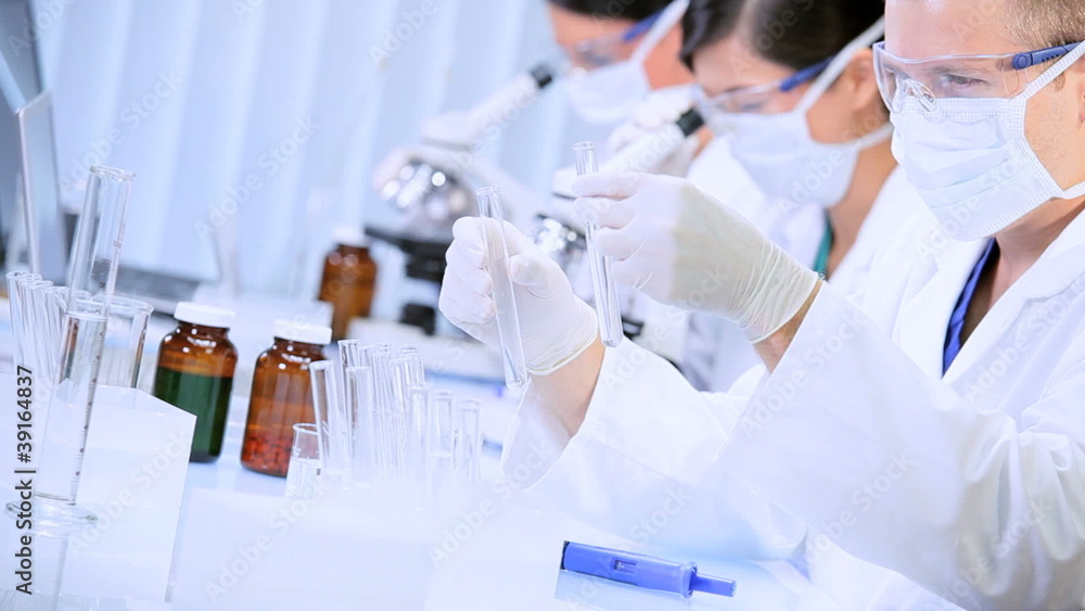 Laboratory Assistants Working on Research Data Laboratory Assistants Working on Research Data