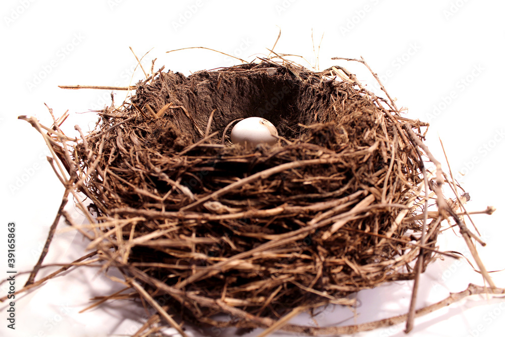 Bird nest with cracking egg on white background Bird nest with cracking egg on white background