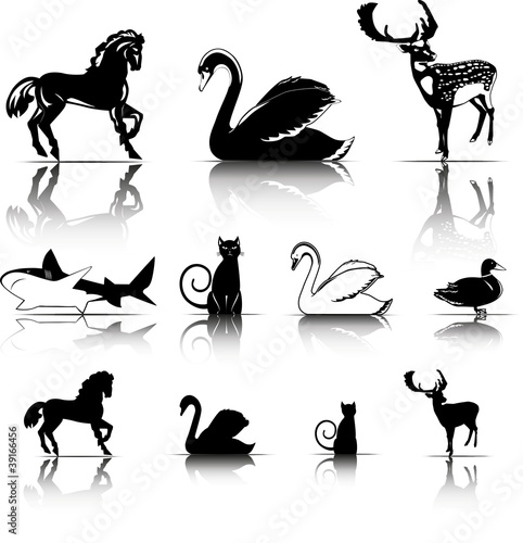 Animals symbols