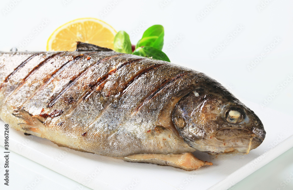 Grilled trout