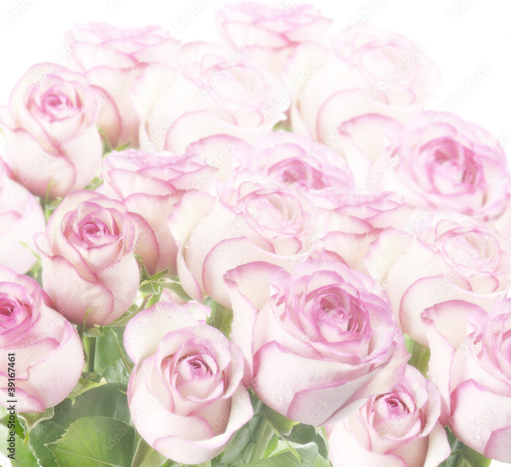 Roses Roses