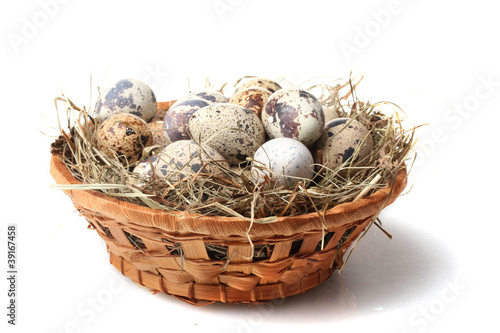 quail eggs in nest isolated on white