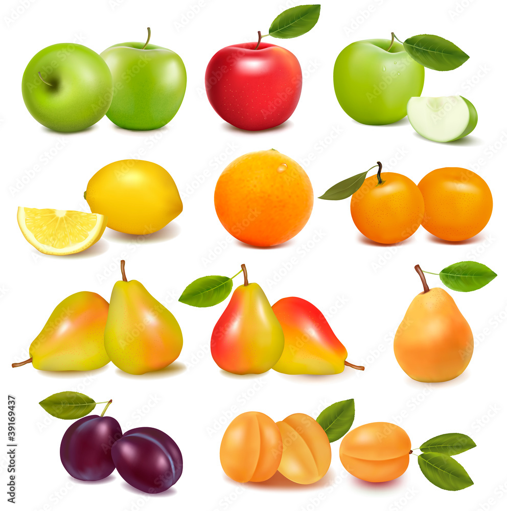 Big group of different fresh fruit Vector Big group of different fresh fruit Vector