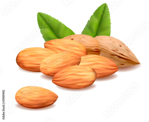 Almond.Vector