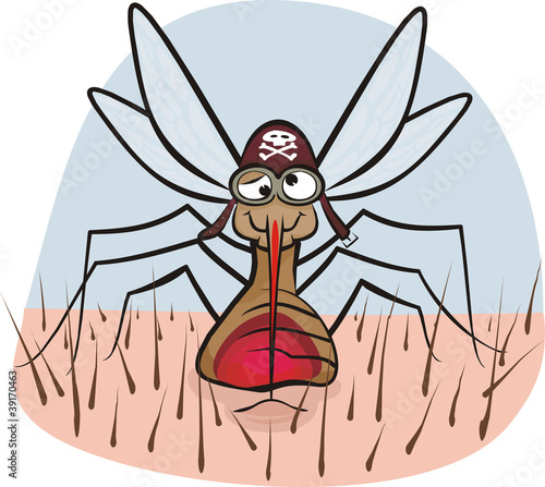 mosquito - blood sucking