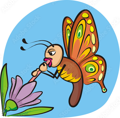 thirsty butterfly