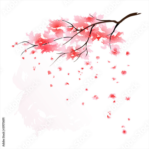 Sakura watercolour