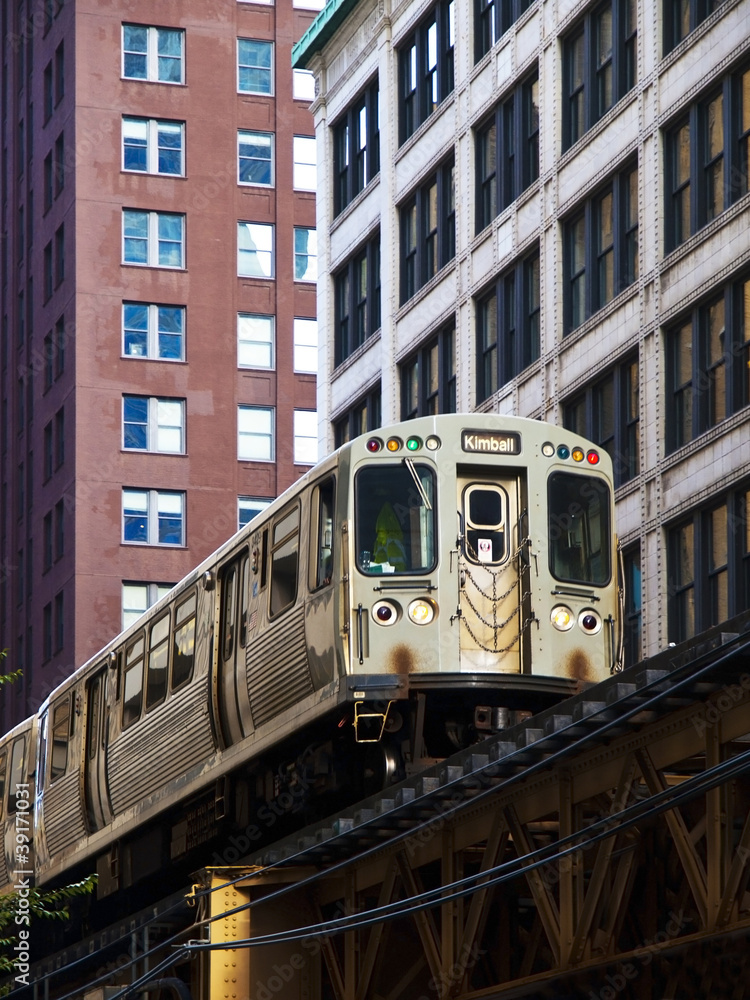 Fototapeta premium Pociąg „L” w Chicago