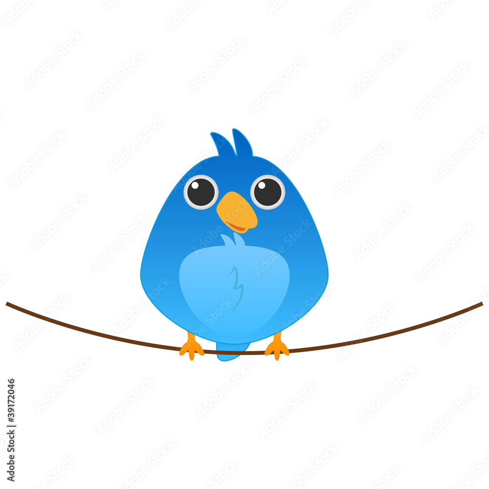 Cute blue bird Cute blue bird